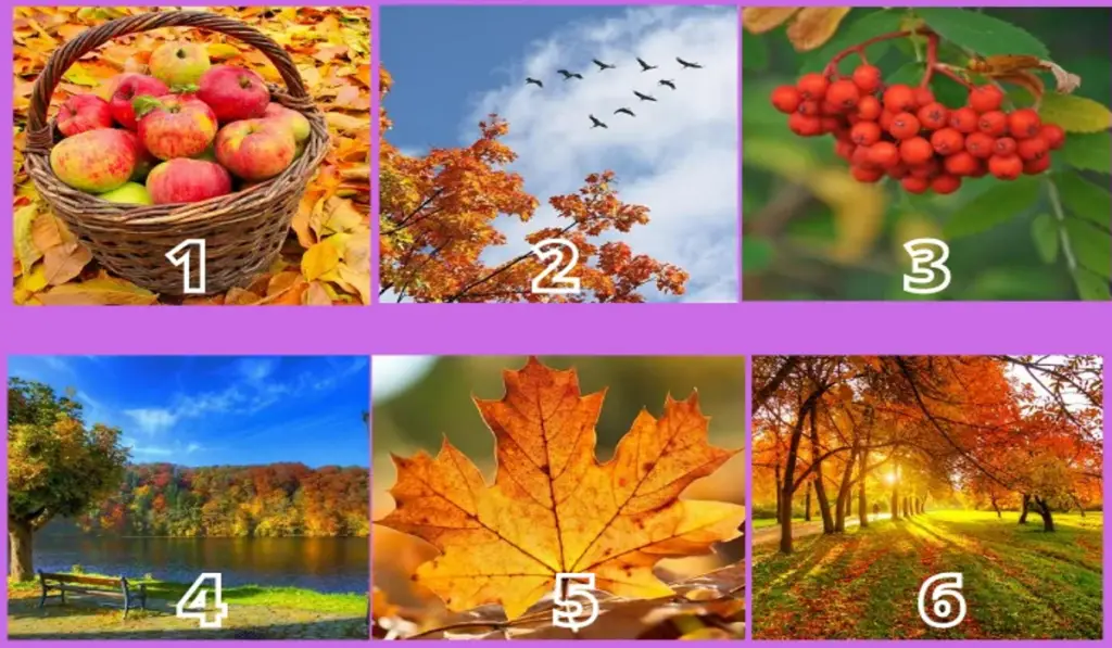 Choose an Autumn Inspire Image and Find Out How September 2020 Will Delight You