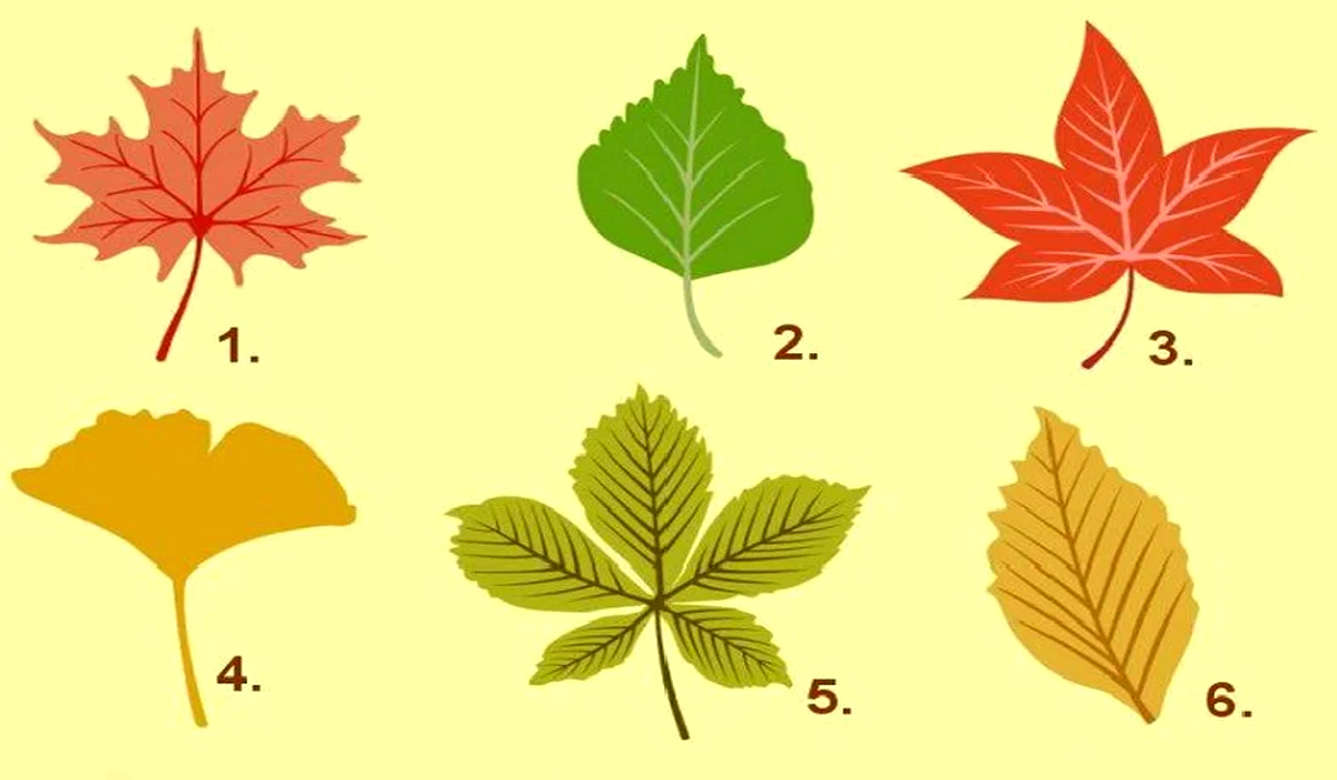 Пять видов осенних листов
