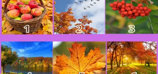 Choose an Autumn Inspire Image and Find Out How September 2020 Will Delight You