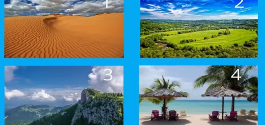 This Surprising Test Will Reveal the Truth About You