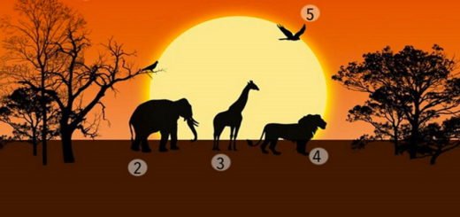 What Attracts You First to the African Savanna Will Reveal Your Main Problem in Life