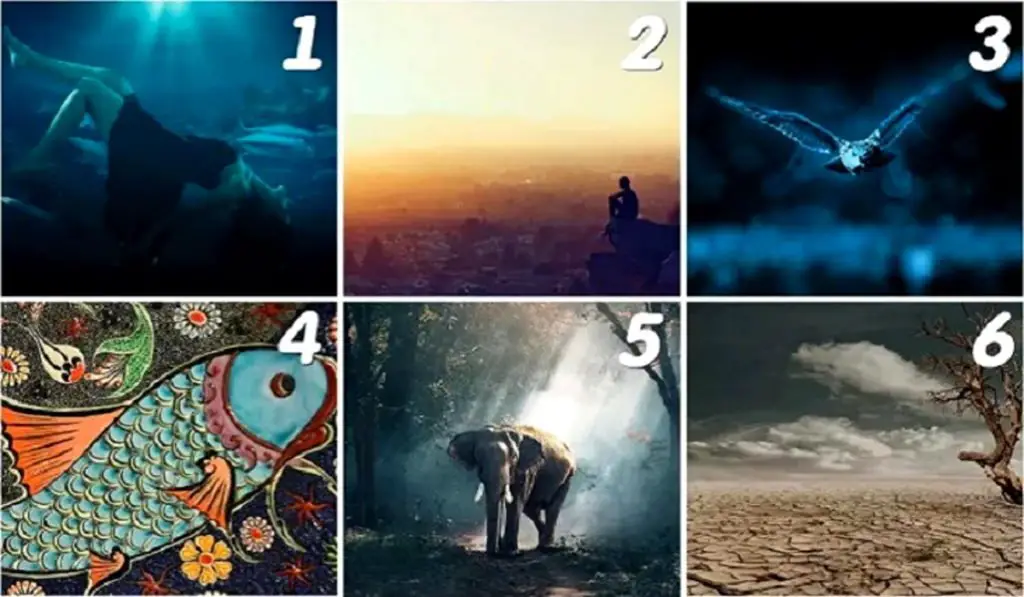 What Mission Does Fate Have in Store for You? Choose a Card to Find out