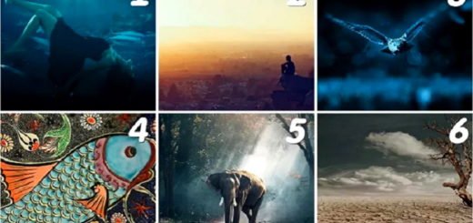 What Mission Does Fate Have in Store for You? Choose a Card to Find out