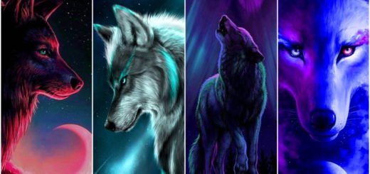 Wolf Psychological Test The Wolf You Choose Will Tell You How Men See You