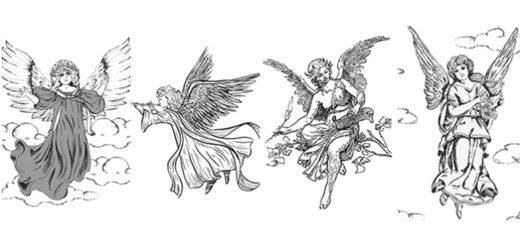 Your Message for the Future Which Angel Attracts You the Most