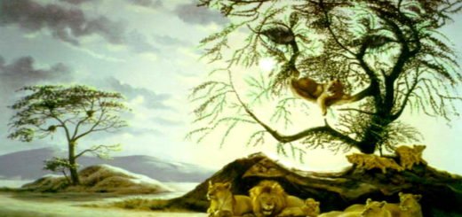 Your Psychological Age Will be Determined by the Number of Lions You Can See in the Picture