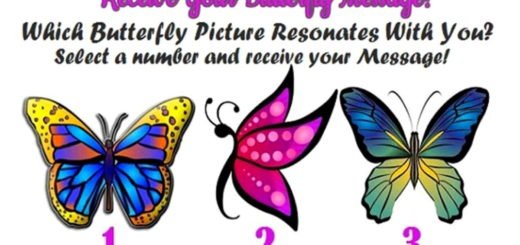 Receive A Beautiful Butterfly Message From Spirit
