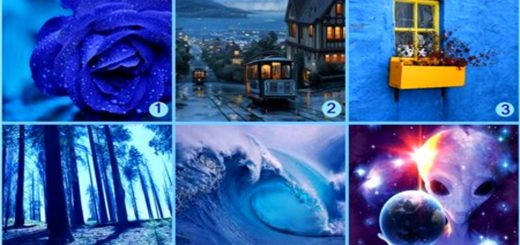 Blue Test Choose an Image and Find Out What Kind Of Interlocutor You Are
