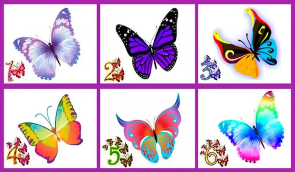 Choose Your Favorite Butterfly And Reveal Something Great About Your Personality!