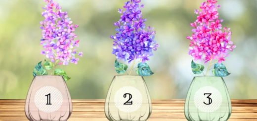 Choose Your Favorite Lilac Branch and Get a Forecast for the Next Week