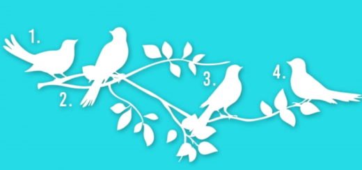 Choose a Bird and Find Out What Is Your Purpose in Life