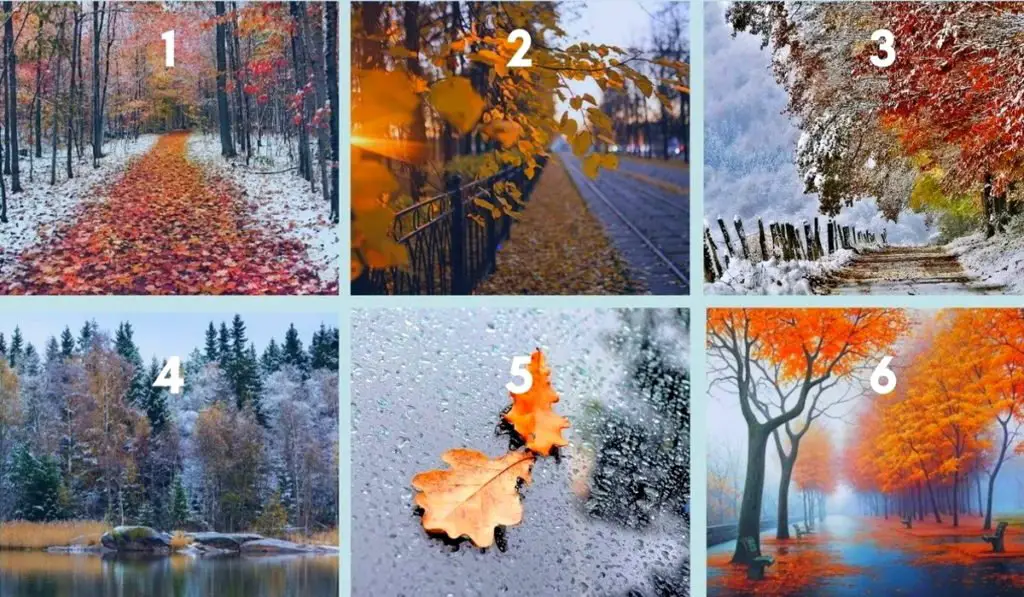 Choose a Photo And Find Out What The Outgoing Autumn Will Be Like For You