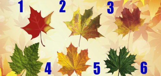 Choose an Autumn Leaf and Find Out What Advice Fate Has Prepared For You