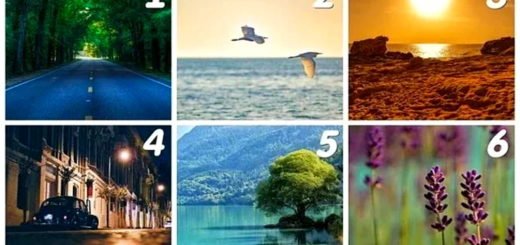 Choose an Image And Discover What Will Bring You The Most Happiness In Life