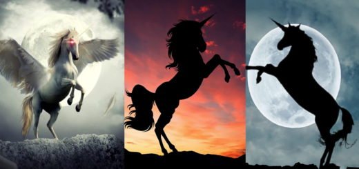 Choose the Unicorn that Attracts You the Most and Discover its Spiritual Message