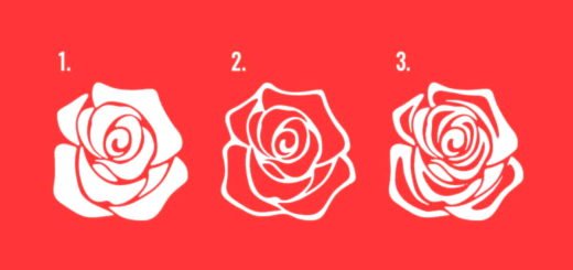 Discover Which Direction Your New Year Will Take by Choosing One Of The 3 Roses