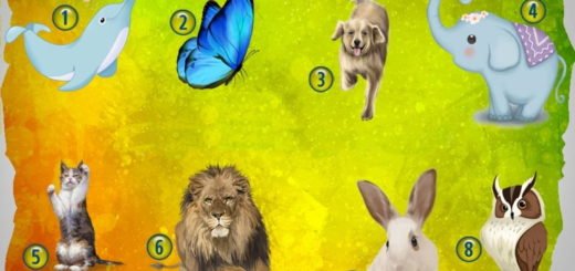 Discover Your Spiritual Gift and How to Use it by Choosing an Animal