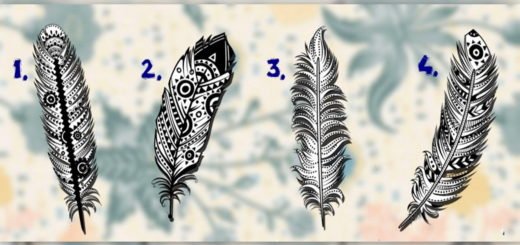 Do You Want To Know Your True Mission In Life? Choose a Feather to Discover It