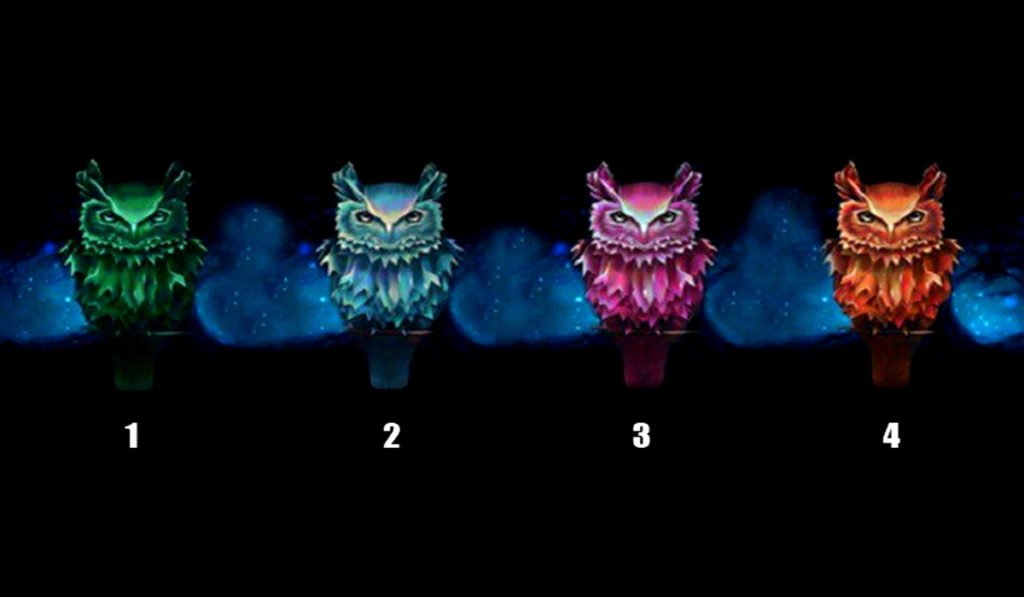 How Well Do You Think You Know Yourself Choose an Owl to Learn More About Your Personality