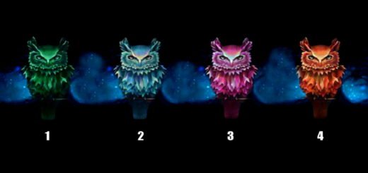 How Well Do You Think You Know Yourself Choose an Owl to Learn More About Your Personality