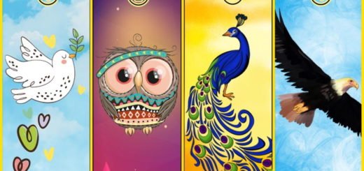 The Bird You Choose Will Tell Your Personality Traits And How Freedom-Loving You Are