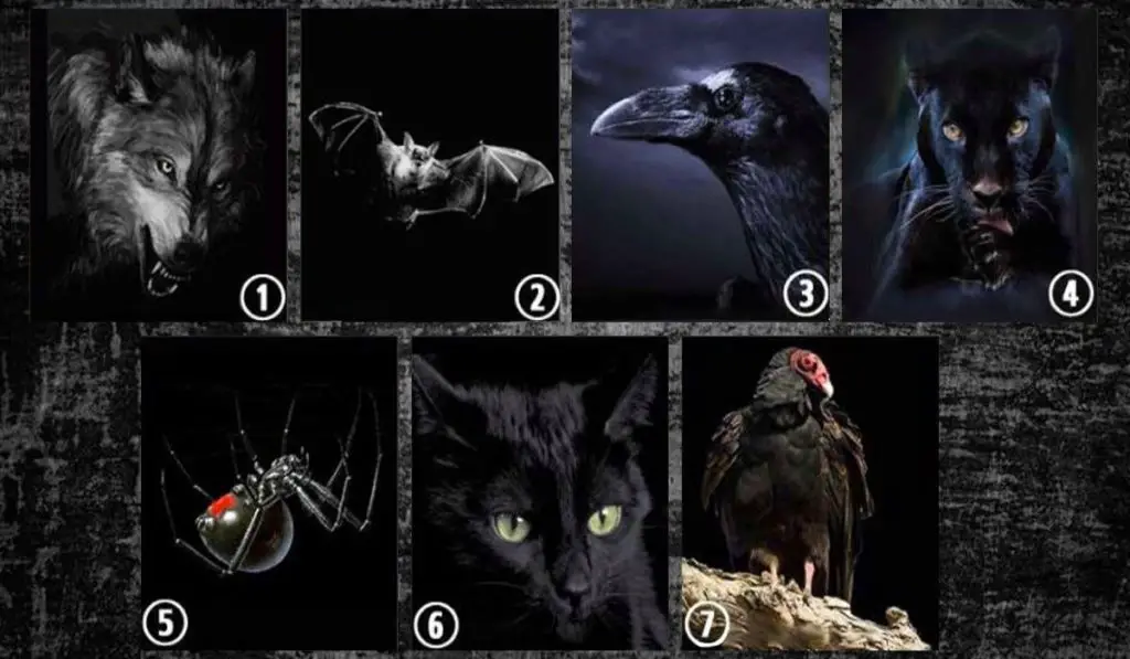 This Mental Test Reveals The Hidden Side Of Each Person. Which Animal Do You Choose