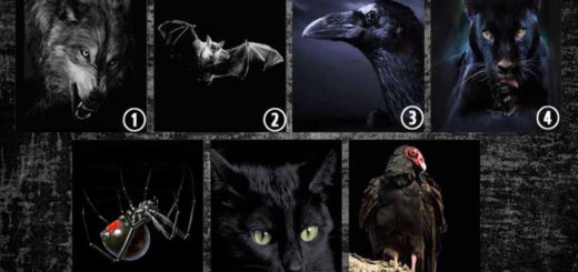 This Mental Test Reveals The Hidden Side Of Each Person. Which Animal Do You Choose
