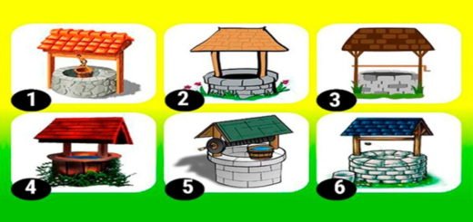 Throw An Imaginary Coin In The Wishing Well and Find Out If Your Dream Will Come True