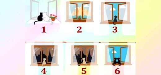 What Can Inspire You and Ensure a Successful Life Choose a Window to Find Out