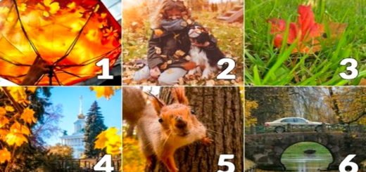 What Surprises Awaits You In October Choose a Picture to Find Out