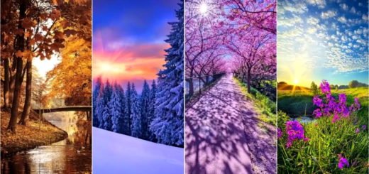 What Worries You Discover the Reasons of Your Anxiety by Choosing Your Favorite Season