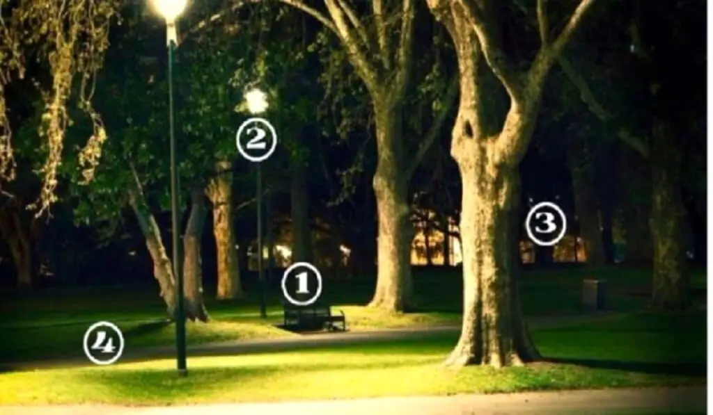 Which Area Of ​​the Park Is Safer Find Out Who You Are Based On Your Answer