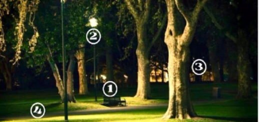 Which Area Of ​​the Park Is Safer Find Out Who You Are Based On Your Answer