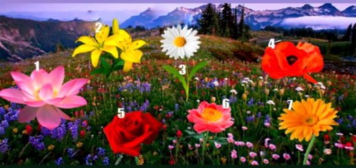 Your Favorite Flower Will Reveal If Your Deepest Wish Will Come True