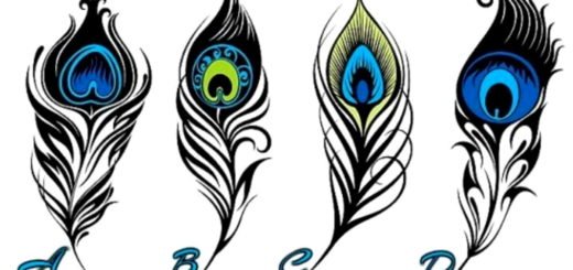 Your Favorite Peacock Feather Will Reveal a Hidden Trait That Leads You To Happiness
