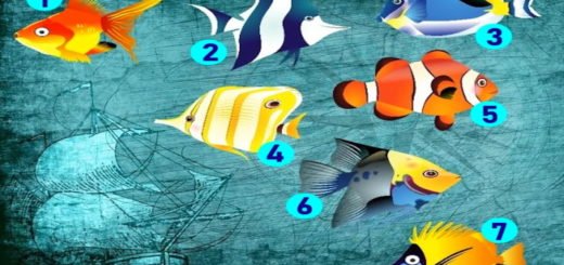 Choose Your Favorite Fish to Get a Prediction for the Coming Week