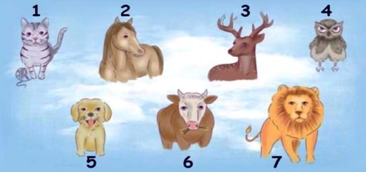 Choose an Animal And Discover Your Most Striking Personality Trait