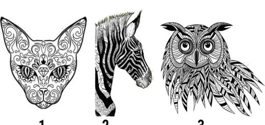 Learn How to Survive Difficult Life Situations by Choosing a Mystical Animal