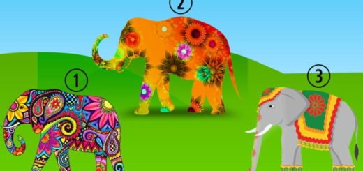 Find Out Which Soul Contract You Are Working With By Selecting an Elephant