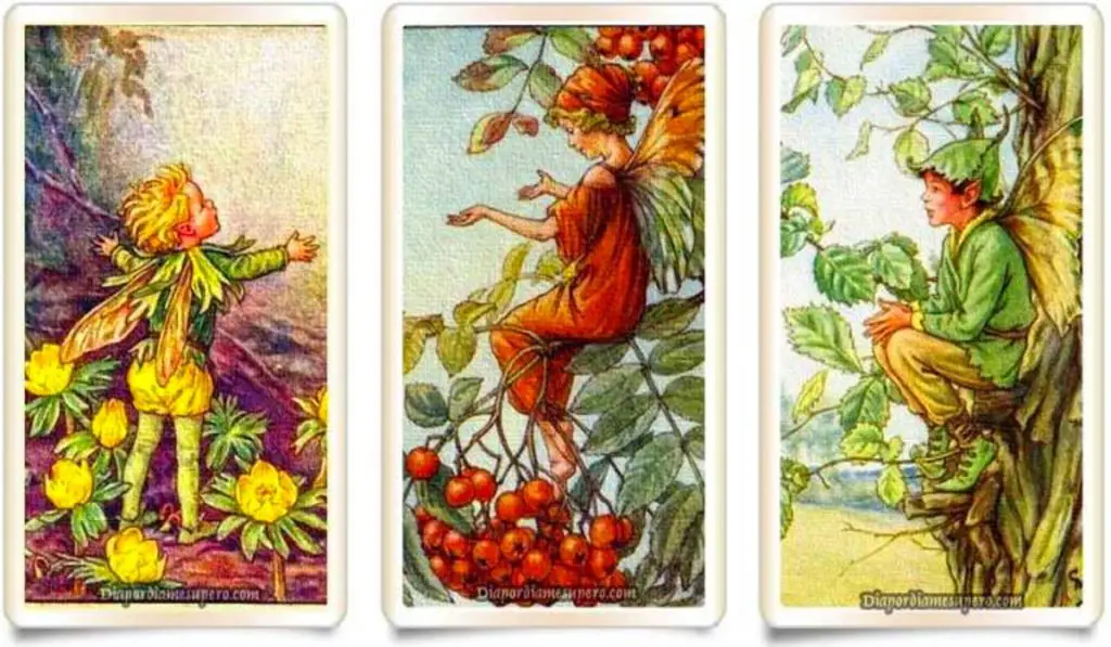 Oracle Prediction Get a Piece of Advice For This Moment In Your Life