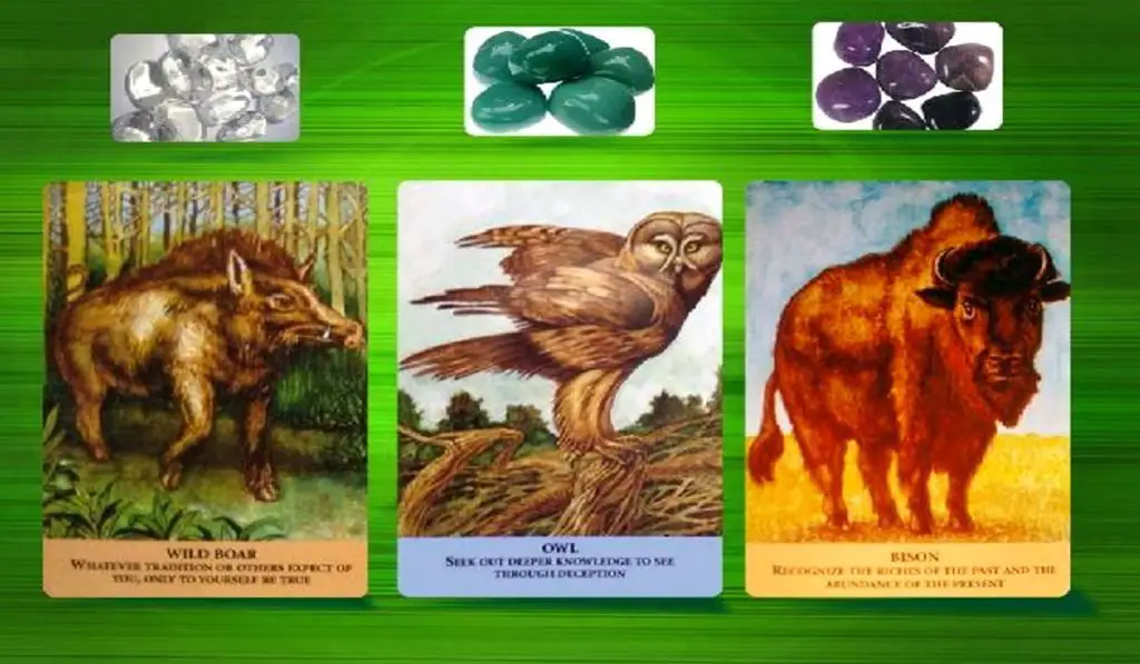 Oracle of the Animals - How to Bring Gratitude Into Your Life