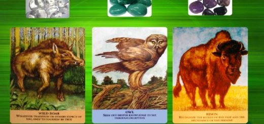 Oracle of the Animals - How to Bring Gratitude Into Your Life