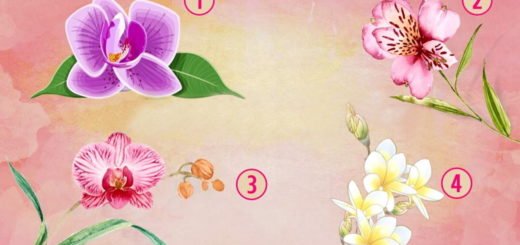 The Orchid Flower You Choose Will Reveal What Makes You Special