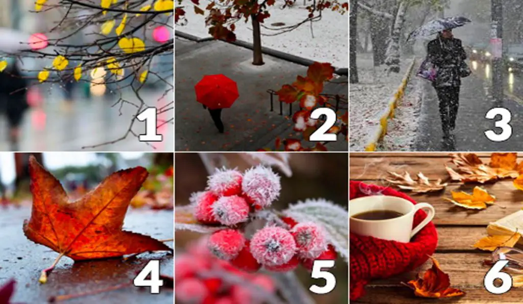 What to Expect This November Choose a Picture You Like Most