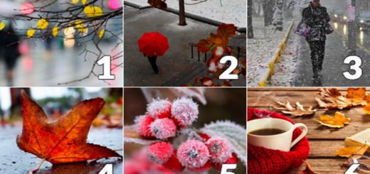 What to Expect This November Choose a Picture You Like Most