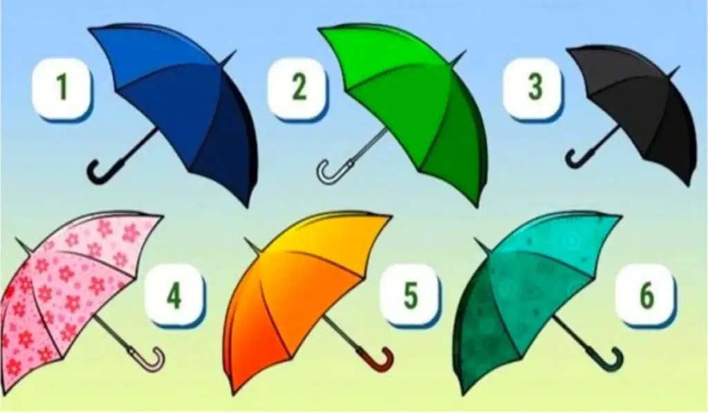 Your Favorite Umbrella Will Reveal New Traits of Your True Character