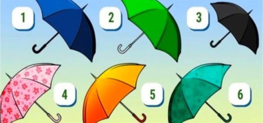 Your Favorite Umbrella Will Reveal New Traits of Your True Character