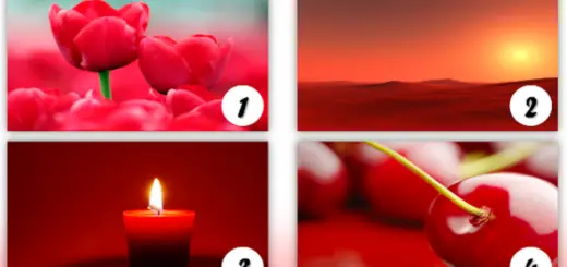 Psychological Test Of Red: Reveal Your Personality Through This Color