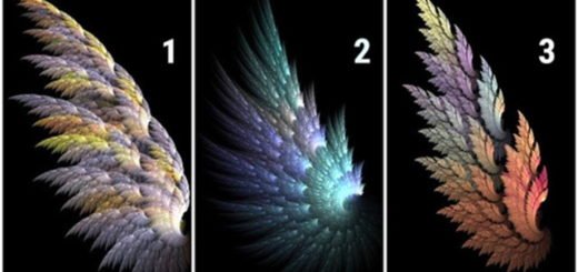 Choose an Angelic Wing and Receive a Message of Light and Hope