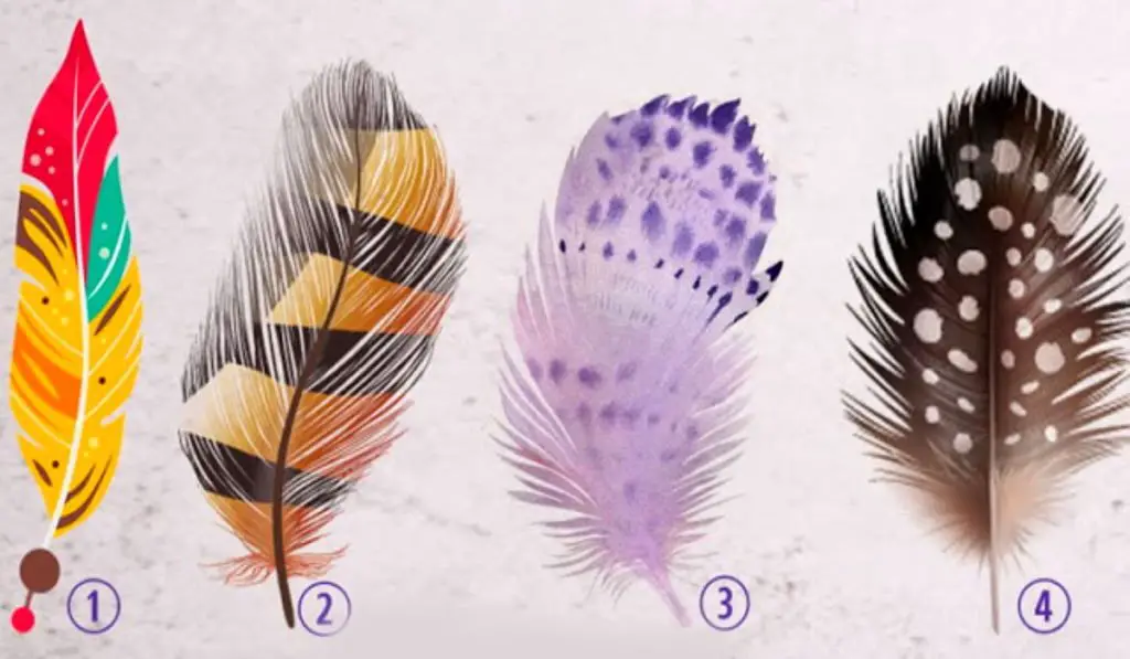 Discover Your Life Mission by Choosing Your Favorite Feather
